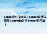 sensor的中文意思（sensor是什么意思 sensor的音标 sensor的用法）
