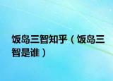 饭岛三智知乎（饭岛三智是谁）