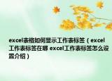 excel表格如何显示工作表标签（excel工作表标签在哪 excel工作表标签怎么设置介绍）