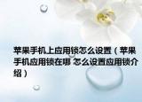 苹果手机上应用锁怎么设置（苹果手机应用锁在哪 怎么设置应用锁介绍）