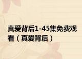 真爱背后1-45集免费观看（真爱背后）