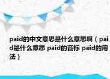paid的中文意思是什么意思啊（paid是什么意思 paid的音标 paid的用法）