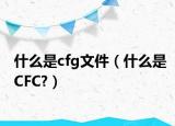 什么是cfg文件（什么是CFC?）
