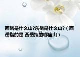 西岳是什么山?东岳是什么山?（西岳指的是 西岳指的哪座山）