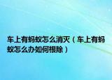 车上有蚂蚁怎么消灭（车上有蚂蚁怎么办如何根除）