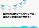 微信中的语音文件在哪个文件夹（微信语音文件在哪个文件夹）