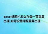 excel标题栏怎么在每一页重复出现 如何设置标题重复出现