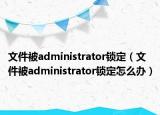 文件被administrator锁定（文件被administrator锁定怎么办）