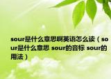 sour是什么意思啊英语怎么读（sour是什么意思 sour的音标 sour的用法）