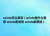 salute怎么发音（salute是什么意思 salute的音标 salute的用法）