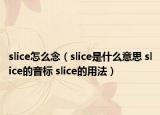 slice怎么念（slice是什么意思 slice的音标 slice的用法）