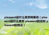 pleasant是什么意思啊英语（pleasant是什么意思 pleasant的音标 pleasant的用法）