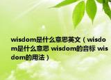wisdom是什么意思英文（wisdom是什么意思 wisdom的音标 wisdom的用法）