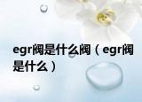 egr阀是什么阀（egr阀是什么）