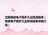 沈阳核酸电子版多久出检测结果（核酸电子版多久出检测结果详细介绍）