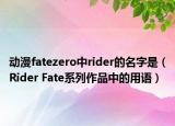 动漫fatezero中rider的名字是（Rider Fate系列作品中的用语）