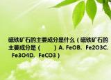 磁铁矿石的主要成分是什么（磁铁矿石的主要成分是（　　）A. FeOB.  Fe2O3C.  Fe3O4D.  FeCO3）