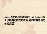 excel表格怎样自动填充公式（excel怎么设置自动填充公式 如何设置自动填充公式介绍）