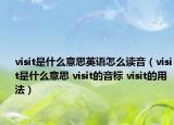 visit是什么意思英语怎么读音（visit是什么意思 visit的音标 visit的用法）