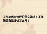 工作简历自我评价范文简洁（工作简历自我评价怎么写）