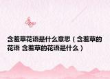 含羞草花语是什么意思（含羞草的花语 含羞草的花语是什么）