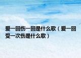 爱一回伤一回是什么歌（爱一回受一次伤是什么歌）
