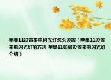 苹果11设置来电闪光灯怎么设置（苹果11设置来电闪光灯的方法 苹果11如何设置来电闪光灯介绍）