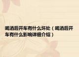 喝酒后开车有什么坏处（喝酒后开车有什么影响详细介绍）