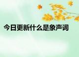 今日更新什么是象声词