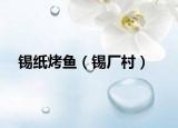 锡纸烤鱼（锡厂村）