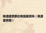 桃源盛景那边有现房卖吗（桃源盛景园）