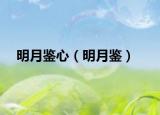 明月鉴心（明月鉴）