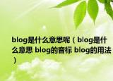 blog是什么意思呢（blog是什么意思 blog的音标 blog的用法）