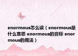 enormous怎么读（enormous是什么意思 enormous的音标 enormous的用法）