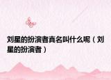 刘星的扮演者真名叫什么呢（刘星的扮演者）