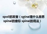 spoil的发音（spinal是什么意思 spinal的音标 spinal的用法）