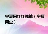 宁夏网红红线裤（宁夏网虫）