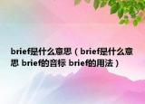 brief是什么意思（brief是什么意思 brief的音标 brief的用法）