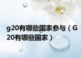 g20有哪些国家参与（G20有哪些国家）