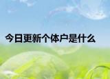 今日更新个体户是什么