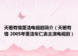 天若有情董洁电视剧简介（天若有情 2005年董洁车仁表主演电视剧）