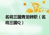 名将三国青龙转职（名将三国Q）