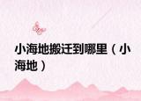 小海地搬迁到哪里（小海地）