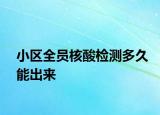 小区全员核酸检测多久能出来