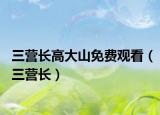 三营长高大山免费观看（三营长）