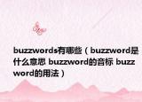 buzzwords有哪些（buzzword是什么意思 buzzword的音标 buzzword的用法）