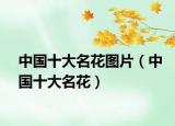中国十大名花图片（中国十大名花）