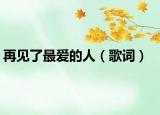 再见了最爱的人（歌词）