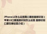 iPhone12怎么设置戴口罩的面部识别（苹果13口罩面部识别怎么设置 面部识别口罩在哪设置介绍）
