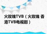 火玫瑰TVB（火玫瑰 香港TVB电视剧）